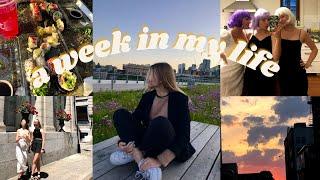 montreal vlog: a week in my life / work, friends, terrasse, birthday parties