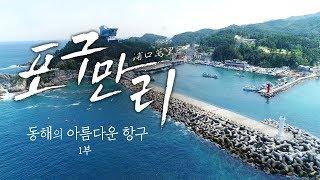 한국의 아름다운 항구여행 : 동해바다 1편 | 포구만리 - 지역MBC UHD 공동제작 다큐멘터리