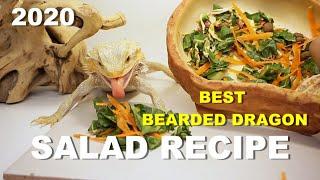 The Best Bearded Dragon Salad Recipe !! 2020 **Must Try**