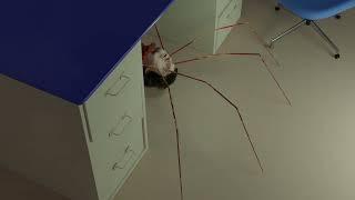 Spider Head : VFX with Blender- That scene from The Thing (1982)