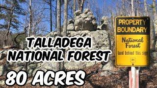 Alabama Land For Sale - Own 80 Acres - Hunt 3,000 Acres Talladega National Forest