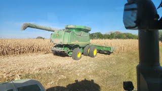 Harvest 2024 - new video