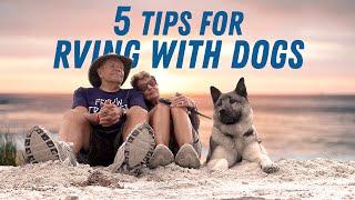 Tips and Tricks for RVing with Dogs