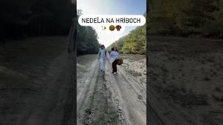 Nedeľa na Hríboch