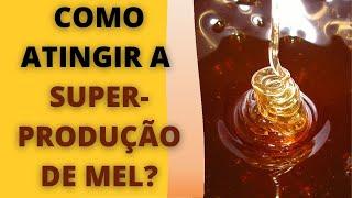 Como atingir a Superprodução de Mel?