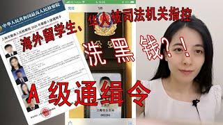 【律师聊法】海外留学生、华人突然被通缉、被洗钱？？别慌！我来给您唠唠