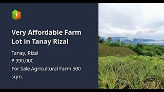 Very Affordable Farm Lot in Tanay Rizal