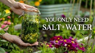 How to Preserve Your Garden Harvests Just Using Salt & Water (Ft. Chef Sam Black)