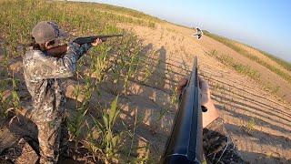 NEBRASKA DOVE HUNTING OPENING DAY!! (HAWK ATTACK)