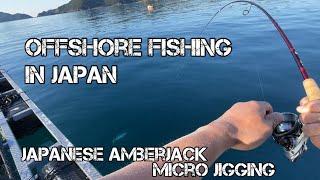 Offshore Fishing in Japan Around a Fish Farm - Yellowtail Amberjack