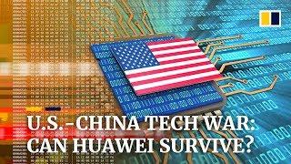 US-China tech war: can Huawei survive?