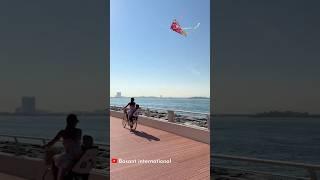 kite flying video Dubai UAE : Basant international