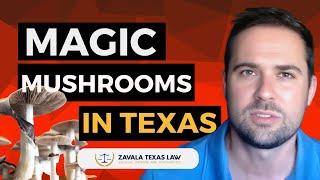 Magic Mushrooms in Texas: What You MUST Know! ️Attorney Charles Zavala Explains