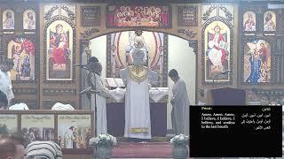 St Luke ACOC Live Stream