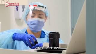 輝瑞指疫苗對英國N501Y變種病毒同樣有效用 - 20210109 - 兩岸國際 - 有線新聞 CABLE News