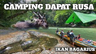 Camping Hujan Deras Dapat Rusa 3 Hari di Hutan Cuaca Buruk Adventure Fishing Cooking and bushcraft