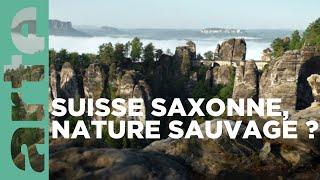 Le pont de la Bastei, la nature rêvée | Secrets sauvages du patrimoine| ARTE Family