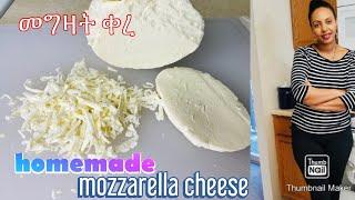 ፈጣን ቀላል በቤት ውስጥ የሚሰራ ችዝ-Homemade Mozzarella cheese-Bahlie tube, Ethiopian food Recipe