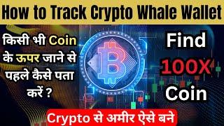 How to Track Crypto Whale Wallet Easily? Crypto WHALES ke Trades TRACK kaise kare 2024