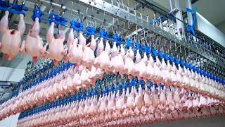 Inside The Food Factories That Produces At Crazy Speed — 24/7 High-Speed Food Production!