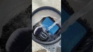 Detailed wash before an appointment! #Shorts #Viral #Trending #ASMR #Satisfying  #Clean #CarWash