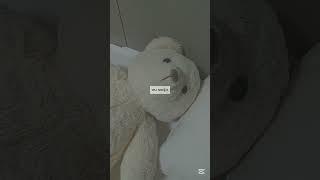 미니 브이로그//#포카포장#아이브#다이브#투어스#지훈#브이로그