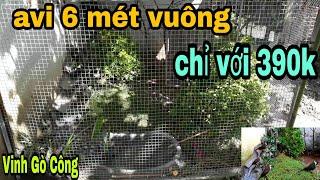 Chi phí làm avi 6 mét vuông siêu đẹp chỉ với 390k | VGC