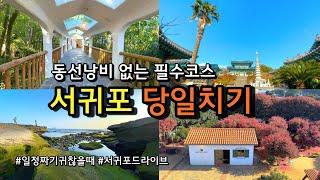 반드시 가봐야할 겨울 서귀포여행 명소 / 제주사찰여행 한라산 선덕사 / 동백여행 사계해변 원앤온리 서귀포시장 이중섭거리