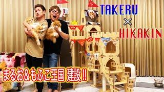 「Takeru×Hikakin / まるお＆もふこに猫のお城をプレゼントしました」