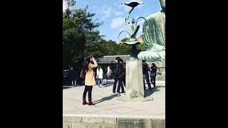 The Great Buddha of Kamakura (鎌倉大仏, Kamakura Daibutsu)