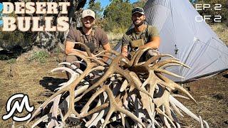 30 ANTLERS IN TWO DAYS! | 2023 EP. 5