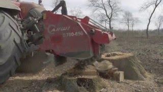 Der Forstexperte - tree stump grinding with the Massey Ferguson 8480 and AHWI S700-650 stump grinder