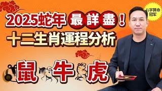 2025年蛇年十二生肖運程 | 鼠  牛  虎 | 事業、財運、愛情、健康最詳細運程分析 | 先人一步，知命用命 | 八字大叔振鴻師傅 #生肖 #運勢  #蛇年 #事業 #財運 #愛情