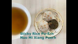 Sticky Rice Pu-Erh | Nuo Mi Xiang Puerh Tasting Notes  by The Tea Smith