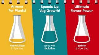 Plant Magic Ultimate Hydro Nutrient Guide