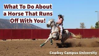 How I Train a Horse That Wants To Run Off & Bolt With You Horseback | Collaborative Horsemanship