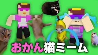 おかんで猫ミーム作ってみた【まいくら / マインクラフト】