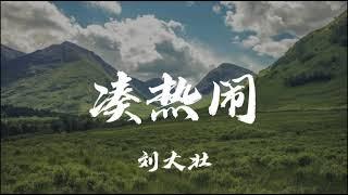 刘大壮 - 凑热闹 「以后就别凑热闹 好不好」 【动态歌词/Lyrics】  抖音