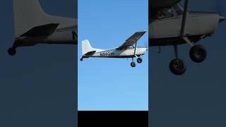 1977 Cessna A185F Skywagon #airport  #departure #taildragger #airplane #alaska #aopa #2025 #planes