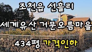 제주시 조천읍 선흘리 세계유산 거문오름마을 434평 가격인하 010 4436 0401 제주도부동산 토지 매매 급매물