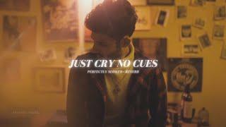 Just Cry No Cues - Perfectly Slowed + Reverb | Jani