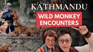 Kathmandu in ONE DAY? Monkey Temple & Rare Private Lunch at a Tibetan Nunnery!