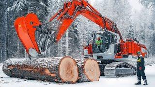 Powerful Tree Cutter: Watch This Monster Stump Removal Machine at Work! 