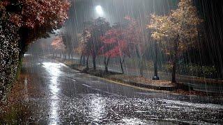 The soft sound of rain falling on a quiet road outside, white noise perfect for overcoming insomnia