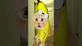 バナナ猫の友達に算数を教えたtaught Bananacat's friend math #gmod #bananacat #shorts