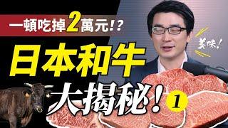 一個便當30萬日幣！？日本和牛為什麼這麼貴？｜日本和牛的類別｜日本和牛的歷史｜日本和牛的等級｜日本和牛的養殖｜社長劉洋第21期