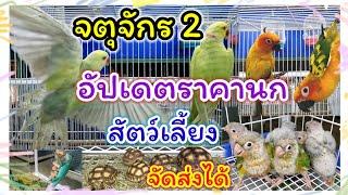 อัปเดตราคานก สัตว์เลี้ยง จตุจักร มีนบุรี จัดส่งได้ทุกจังหวัด ร้านไอซ์