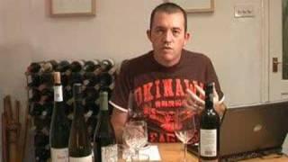 Learn about wine: an introduction to wine tasting