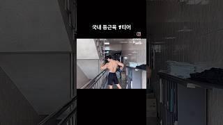 내추럴 등근육 1티어