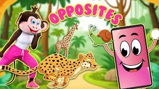 Opposites Song | Kids Songs & Nursery Rhymes | Learn with Nessa's Playhouse